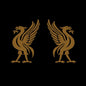 Joey Cape: Liverbirds - VINYL