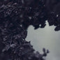 Nebelung: Palingenesis - VINYL