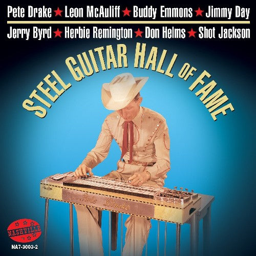 Various Artists: Steel Guitar Hall Of Fame - CD