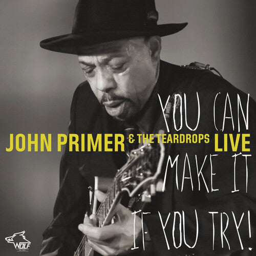 John Primer: You Can Make It If You Try - CD