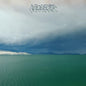 Modest Mouse: Fruit That Ate Itself - VINYL
