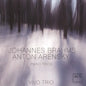 Vivo Trio: Piano Trios - CD