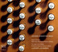 Ludger Lohmann: Organ of Our Mother of Perpetual Succpour Church - CD