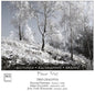 Beethoven / Trio Cracovia: Piano Trios - CD