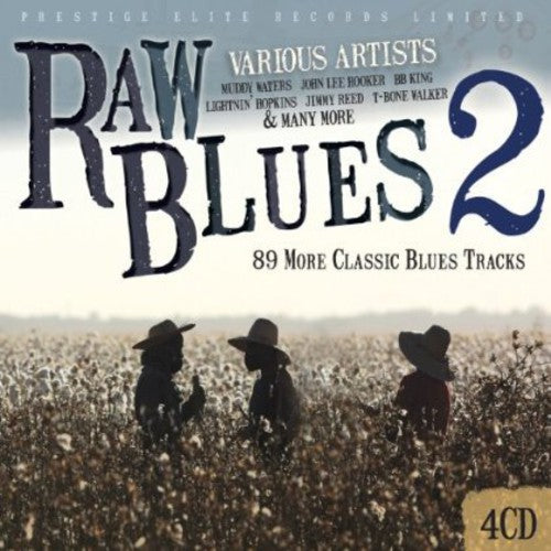 Various Artists: Raw Blues 2 - CD