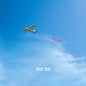 Deer Tick: Negativity - VINYL