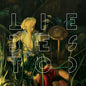 Stefan Wesolowski: Liebestod - CD