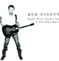 Rod Picott: Hang Your Hopes on a Crooked Nail - CD