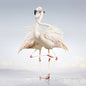 Rustie: Green Language - CD