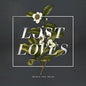 Minus the Bear: Lost Loves - VINYL