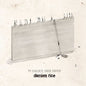 Damien Rice: My Favourite Faded Fantasy - VINYL