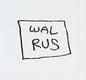 Walrus: 2nd Single - CD