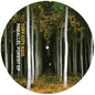 Tuff City Kids: Parrallel Forest - 12-INCH SINGLE