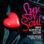 Luv-N-Soul: Smooth Valentine's Day Selections / Va: Luv-N-Soul: Smooth Valentine's Day Selections / Various - CD