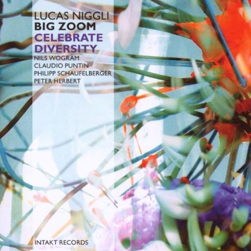 Niggli: Celebrate Diversity Zoom - CD