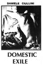 Daniele Ciullini: Domestic Exile Collected Works 82-86 - VINYL