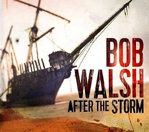 Bob Walsh: After the Storm - CD