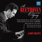 Beethoven, Ludwig / Brawn, James: Beethoven Odyssey 1 - CD