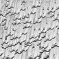 RP Boo: Fingers Bank Pads & Shoe Prints - CD