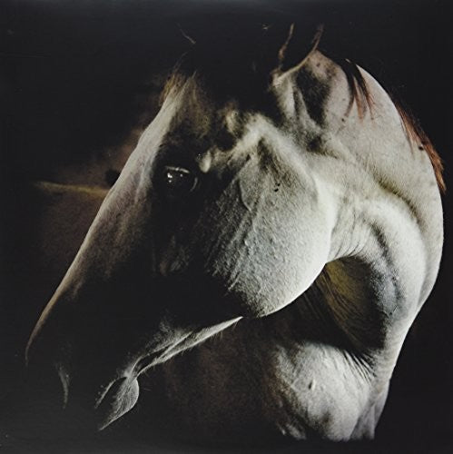 Brother Dege: How to Kill a Horse - VINYL