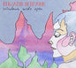 Benjamin Hermann: Windows Wide Open - CD