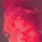 Matt Bauer: Dream's End - CD