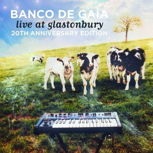 Banco de Gaia: Live At Glastonbury: 20th Anniversary Edition - CD