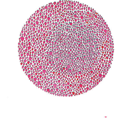 Julia Brown: An Abundance of Strawberries - VINYL