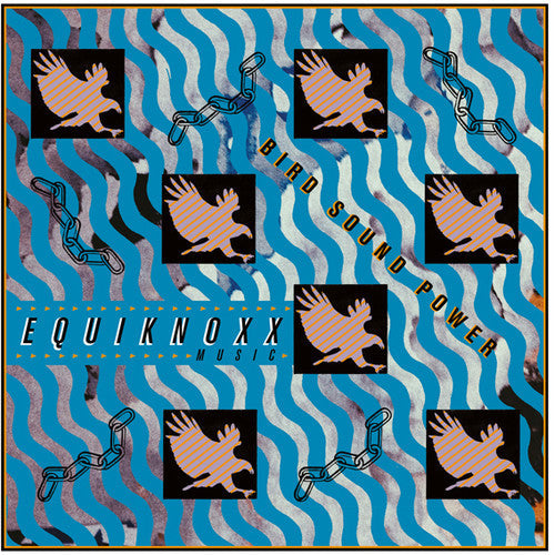 Equiknoxx: Bird Sound Power - VINYL