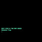 Nick Cave & the Bad Seeds:  Skeleton Tree - VINYL