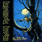Iron Maiden - Fear Of The Dark - VINYL