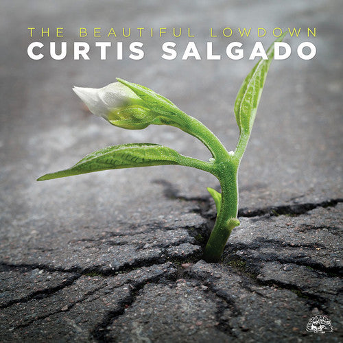 Curtis Salgado: The Beautiful Lowdown - CD