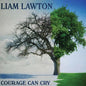 Liam Lawton: Courage Can Cry - CD