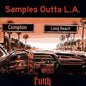 Various Artists: Samples Outta La: Funk / Various - CD