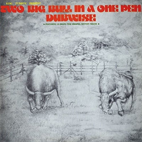 King Tubby's: Two Big Bull In A One Pen (Dubwise Versions) - CD