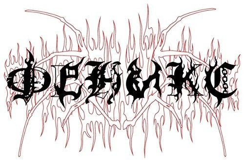 Wwwings: Phoenixxx - VINYL