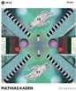 Mathias Kaden: Polyphonic - 12-INCH SINGLE