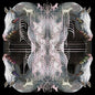 Eartheater: RIP Chrysalis - CD