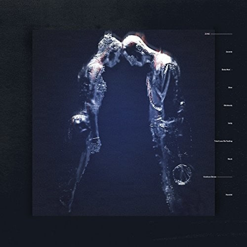 The Naked: Zone - VINYL