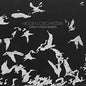 Hidden Orchestra: Dawn Chorus - VINYL
