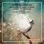 Reznicek / Jaffe / Ofer: Reznicek: Symphonic Works - CD