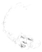 Will Long: Sallow / Pine - VINYL