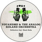 Youandme & Analog Roland Orchestra: Reflection - 12-INCH SINGLE