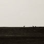 Giulio Aldinucci: Goccia - CD