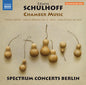 Schulhoff / Brovtsyn / Sokolov: Erwin Schulhoff: Chamber Music - CD