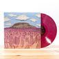 Post Animal: When I Think Of You In A Castle ( - VINYL