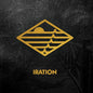 Iration: Iration - VINYL