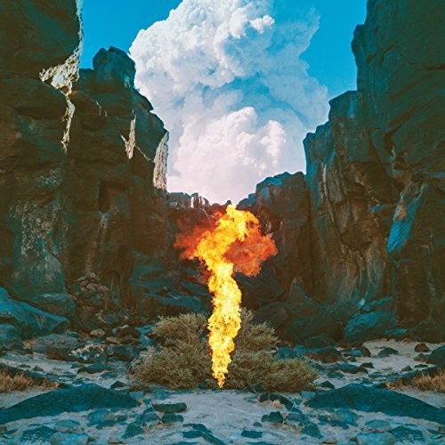 Bonobo: Migration - CD