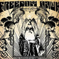 Freedom Hawk: Sunlight - VINYL