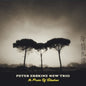 Peter Erskine New Trio: In Praise Of Shadows - CD